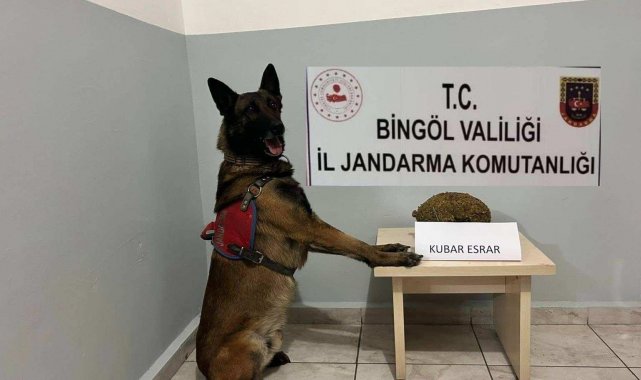 Bingöl'de uyuşturucu ve aranan şahıslara yönelik çalışma