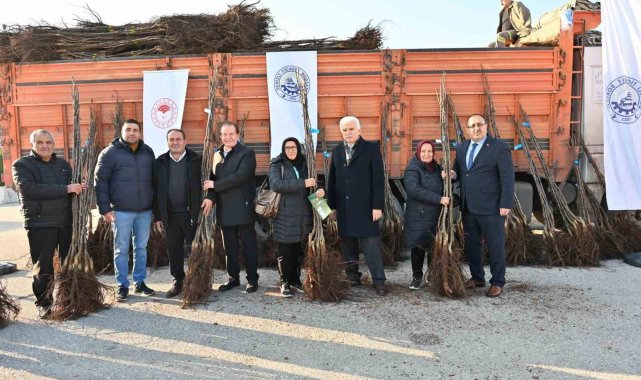 Denizli cevizin başkenti olma yolunda ilerliyor