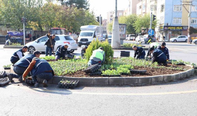 Diyarbakır'da 1 milyon 152 bin bitki dikildi