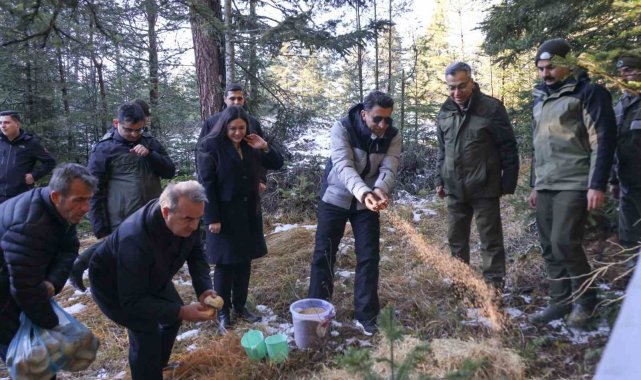 Doğada aç kalan yaban hayvanları için yem bıraktılar