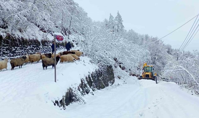 Doğu Karadeniz'de kış