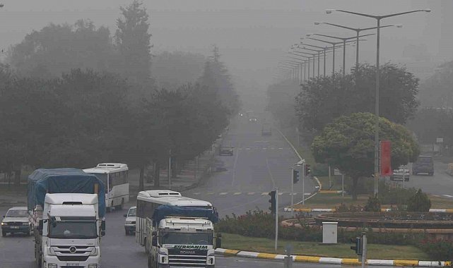 Erzincan güne sisle uyandı
