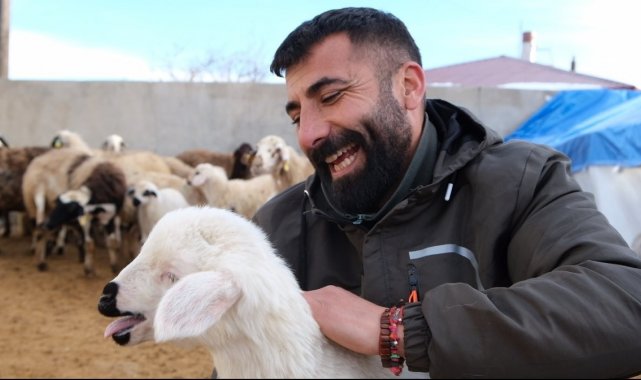 Erzincan'da yılın son kuzuları üreticilerin yüzünü güldürdü