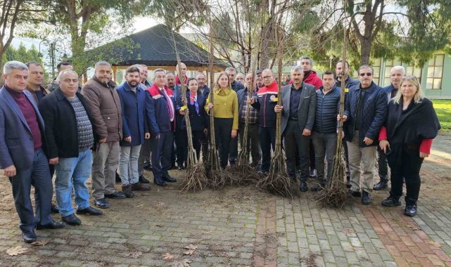 Hastalıklara dayanıklı kestane fidanları Nazillili üreticilere dağıtıldı
