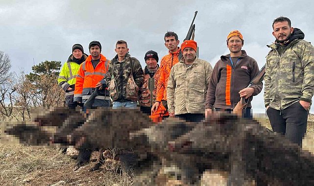 Hisarcıklı avcılar 10 saatte 9 yaban domuzu vurdu