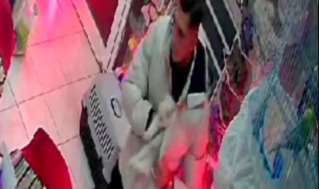 İzmir'de şaşırtan hırsızlık: Cins kediyi montunun içine gizleyip çaldı