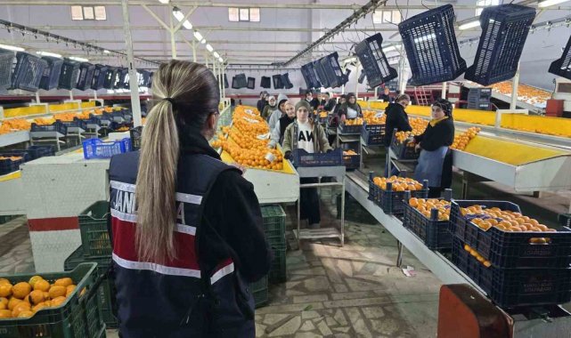 Jandarma ekipleri kadınları bilgilendirdi