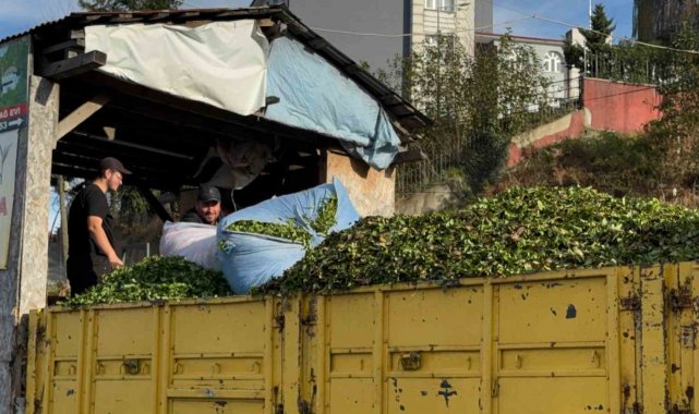 Kış geldi, çay sezonu bitmedi