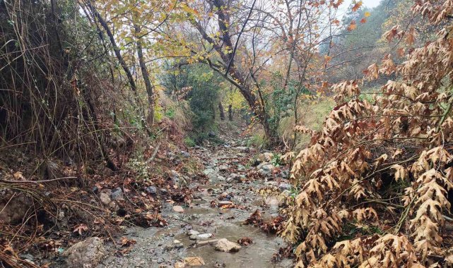 Mesir Tabiat Parkında eşsiz manzaralar