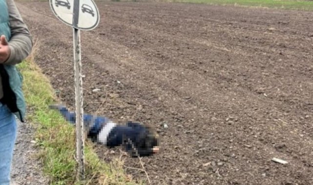 Milas'ta yol kenarında erkek cesedi bulundu