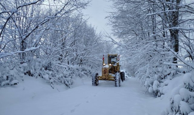Ordu'da bir gecede 992 kilometrelik yolda kar temizleme çalışması yapıldı