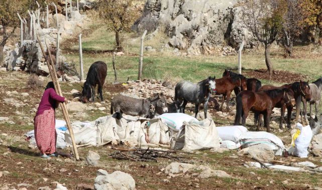 Şırnak'ta göçerlerin kışlaklara doğru zorlu yolculukları devam ediyor