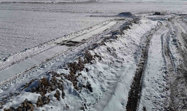 Sivas'ta 60 bin ton şeker pancarı kar altında kaldı