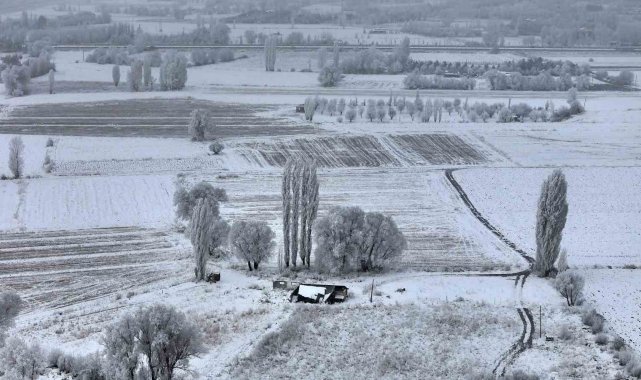 Sivas'ta Sibirya soğukları, eksi 15 derece ile doğa sanata dönüştü