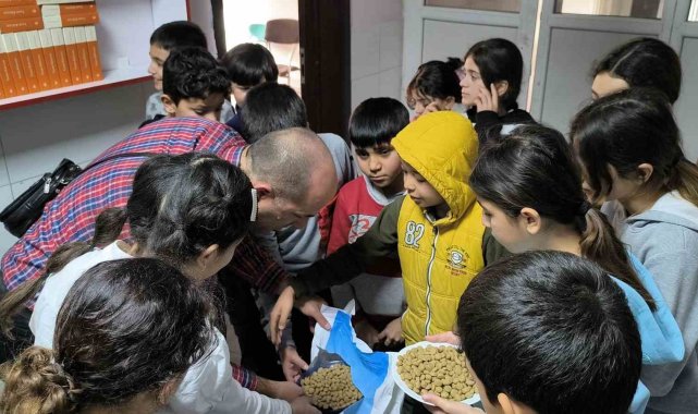 Sokak sokak gezip, sokak hayvanlarını besliyorlar