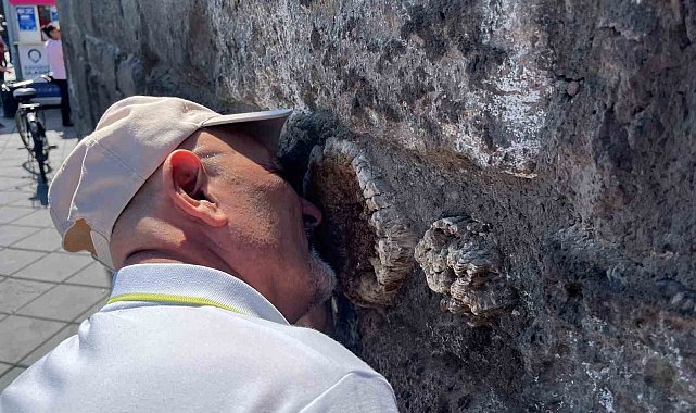 Tarihi Kayseri Kalesi'ndeki ağaçlar araştırılıyor