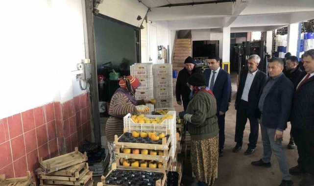 Türkiye'nin dört bir yanına bu soğuk hava deposundan meyveler gidiyor