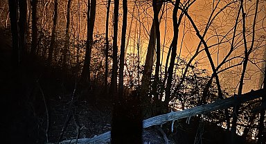 ABD'nin Kuzey Carolina eyaletindeki yangınlar nedeniyle tahliye emri verildi