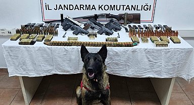 Arı kovanlarından kaçak silah çıktı: 2 gözaltı