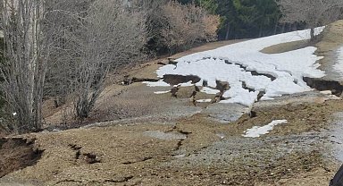 Artvin'de ormanda heyelan; ağaçların devrilme anı kamerada