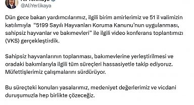Bakan Yerlikaya: Sahipsiz hayvanların toplanmasıyla ilgili süreçleri hassasiyetle takip ediyoruz