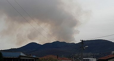 Balıkesir'de orman yangını