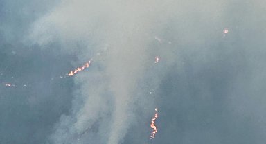 Balıkesir'de orman yangını