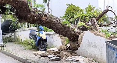 Bodrum ve Datça'da fırtına; feribot seferleri iptal oldu