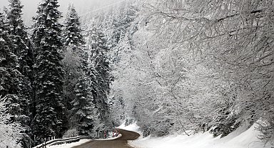 Bolu'nun yayla ve ormanlarında kar güzelliği