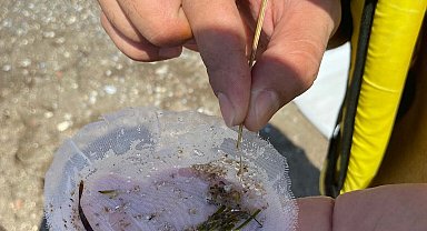 Datça-Bozburun Özel Çevre Koruma Bölgesi'nde 'mikroplastik' alarmı