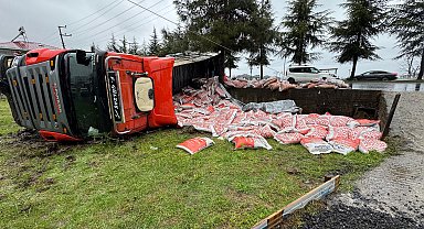 Evin bahçesine devrilen TIR'ın şoförü yaralandı