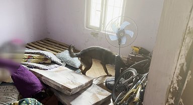 Fırına gizlenen uyuşturucuyu 'Mailo' buldu