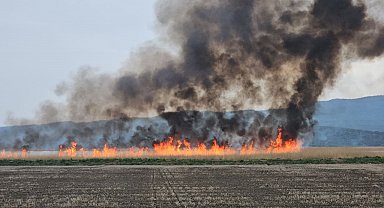 Gala Gölü Milli Parkı'nda sazlık yangını