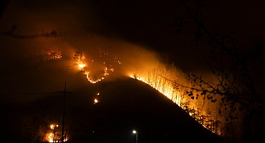 Güney Kore'deki orman yangınları kontrol altına alındı
