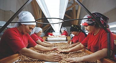 IPARD 3 Programı 2025 Yılı Çağrı Takvimi yayımlandı