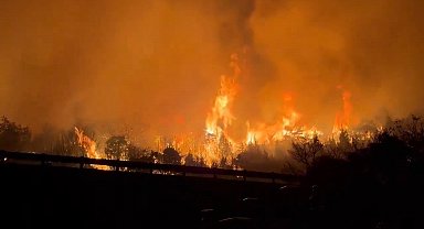 Japonya'daki orman yangınlarına müdahale sürüyor