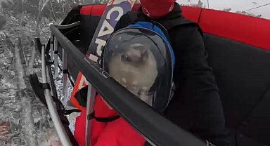 Kedisiyle snowboard yaptı