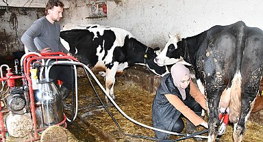 Köye yerleşen Gülizar devlet desteğiyle çiftlik kurdu; inek sayısı 12'ye çıktı, yumurta ve bal da üretiyor