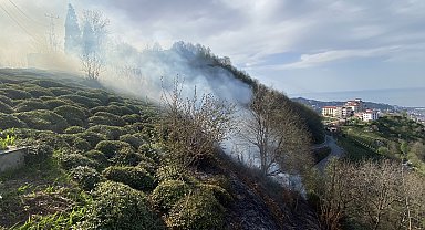 Rize'de anız yangını ormana sıçradı