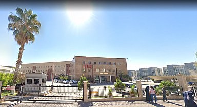 Şanlıurfa'da sokak köpeklerinin saldırdığı 2 kişi yaralandı