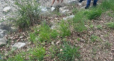 Sapanca Gölü'nde kum fırtınasına yakalanan 2 kano sporcusu kayboldu