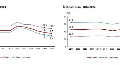 TÜİK: 2024'te işsizlik oranı yüzde 8,7 oldu