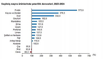 TÜİK: 2024'te yeterlilik derecesi en yüksek bitkisel ürün fındık oldu
