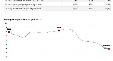 TÜİK: Hizmet üretici fiyatları şubatta arttı