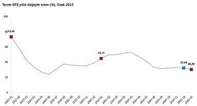TÜİK: Tarımsal girdi fiyatları ocakta arttı