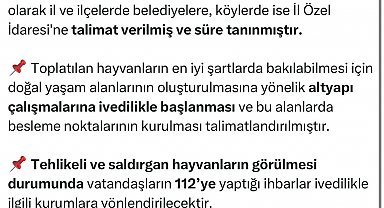 Yalova Valiliği'nden sahipsiz sokak hayvanlarının toplatılmasına ilişkin açıklama