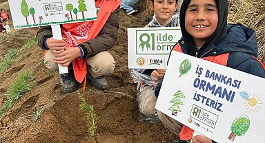 '81 İlde 81 Orman' projesi Bitlis'te