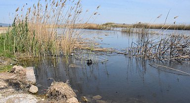 'Gediz Nehri kapkara, dokunmaya korkar hale geldik'