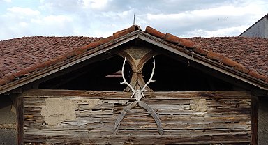 'Geyik Boynuzlu Ev', Zile'deki tek örnek