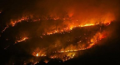 ABD'nin New Jersey eyaletinde orman yangını nedeniyle zorunlu tahliye emri verildi